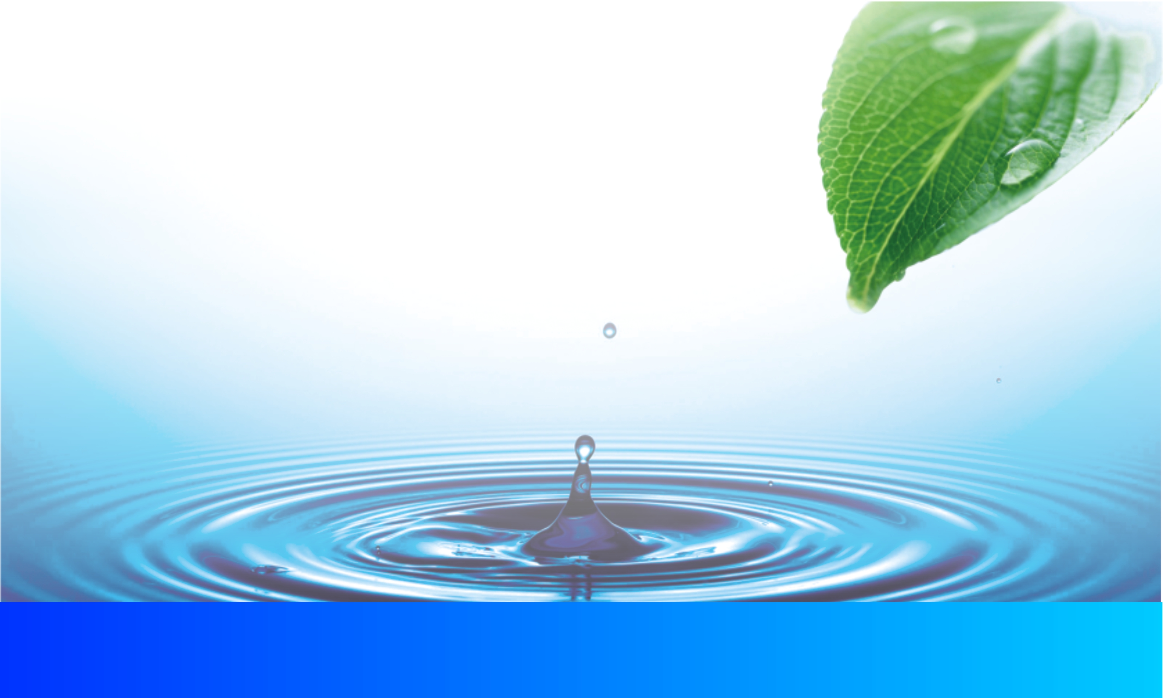 圣经中“马与骑马者”